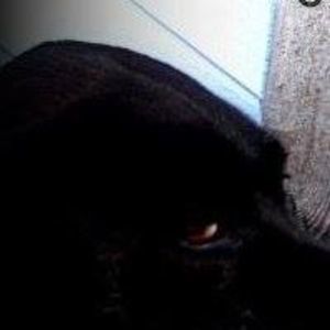 Meet your Posher, Pam